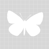 ✇